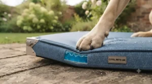 Durable and scratch-resistant summer cooling bed featuring reinforced seams, ideal for energetic dogs while keeping costs under £40.